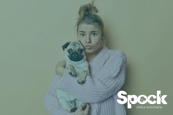 Dermatite de contato em pets: causas e tratamento